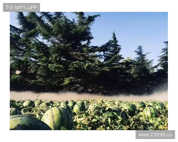 17吃瓜入口入口入口：快速进入吃瓜世界的秘诀